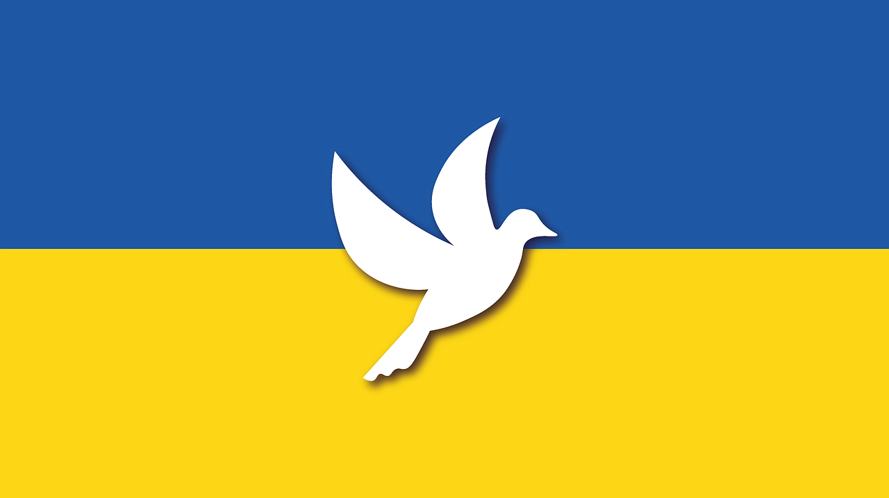 Foto: Ukrainische Nationalfahne mit weißer Friedenstaube 